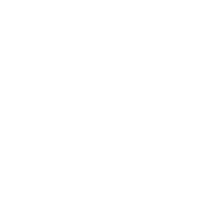 steering wheel icon